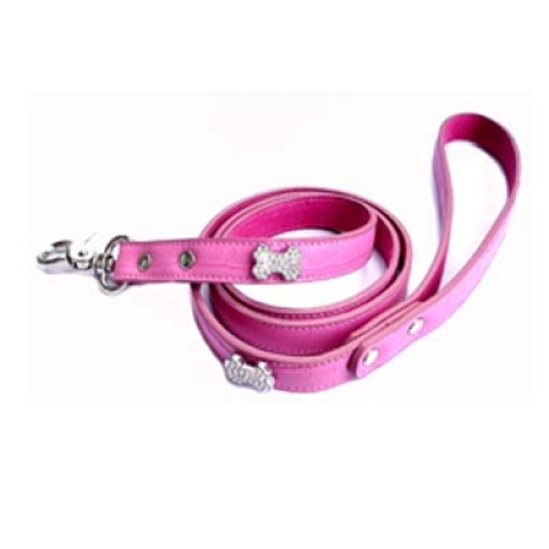 Dog Leads